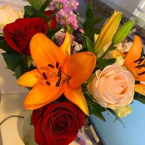 Meet your Posher, Judith